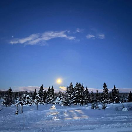Nordseter Fjellpark, Hyttegrend Экстерьер фото