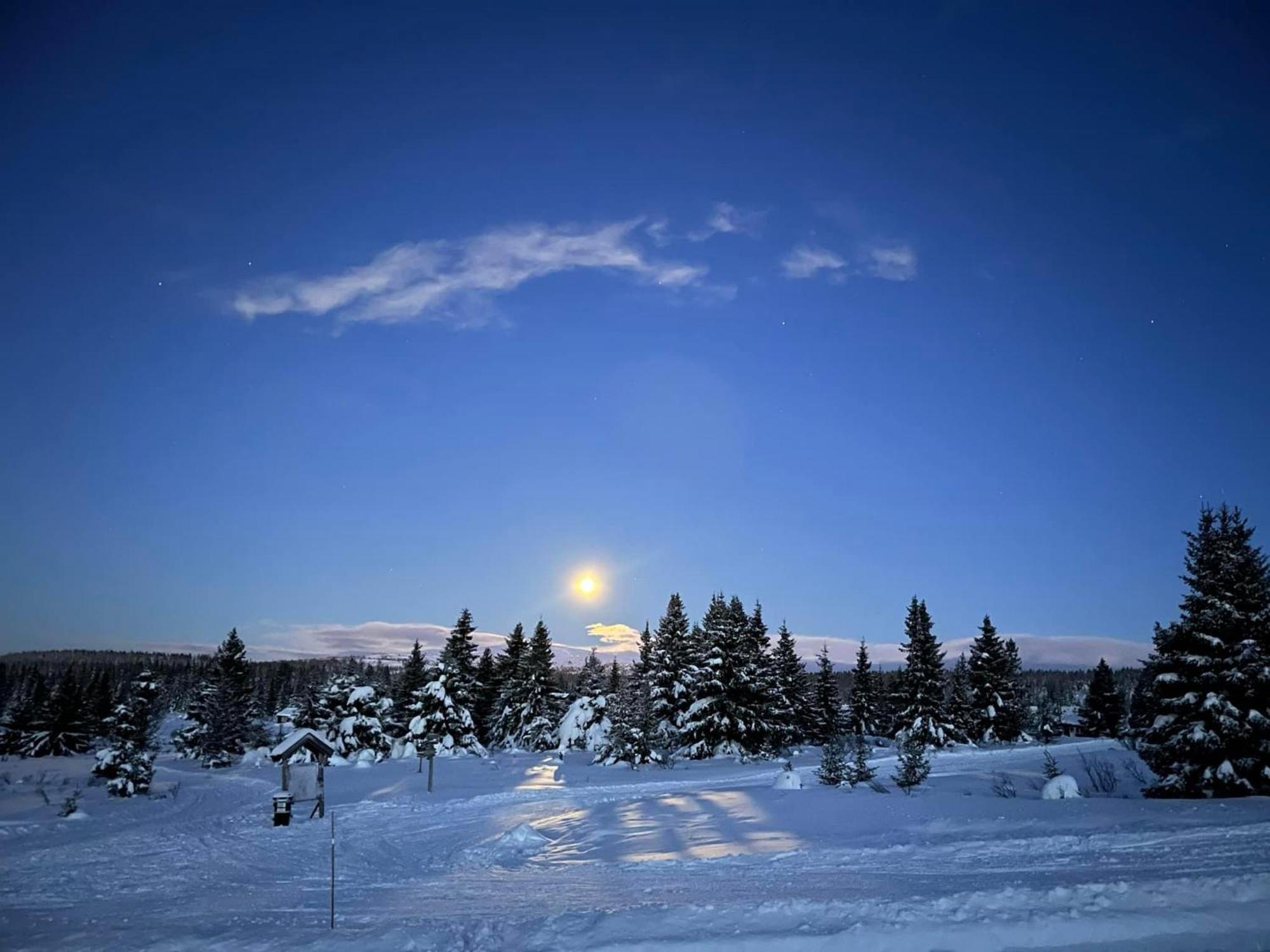 Nordseter Fjellpark, Hyttegrend Экстерьер фото