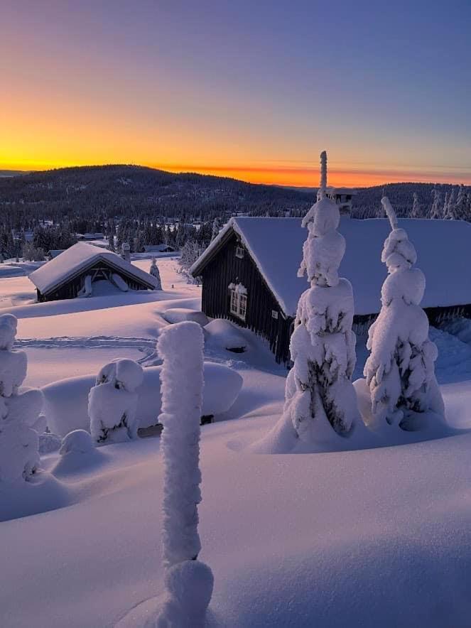 Nordseter Fjellpark, Hyttegrend Номер фото